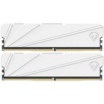 DDR4 2x16Gb 3200MHz NETAC NTSSD4P32DP-32W