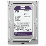 Жесткий диск 3.5'' 1Tb WD WD10PURZ