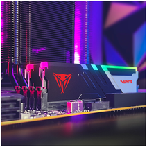 DDR5 2x16Gb 6200MHz Patriot PVVR532G620C40K