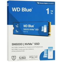 SSD M.2 1Tb WD WDS100T4B0E