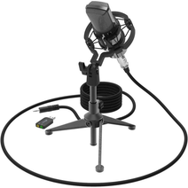 Микрофон RITMIX RDM-160