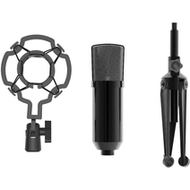 Микрофон RITMIX RDM-160