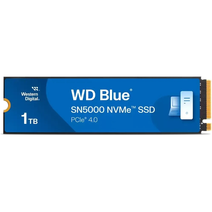 SSD M.2 1Tb WD WDS100T4B0E