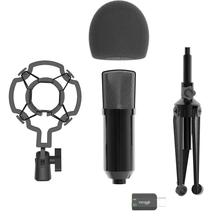 Микрофон RITMIX RDM-160