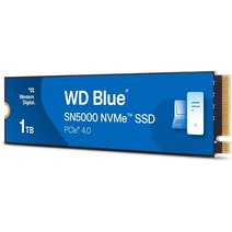 SSD M.2 1Tb WD WDS100T4B0E