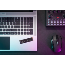 SSD M.2 2Tb CRUCIAL CT2000P510SSD8