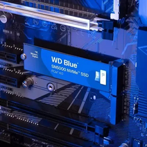 SSD M.2 1Tb WD WDS100T4B0E