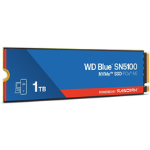 SSD M.2 1Tb WD WDS100T5B0E