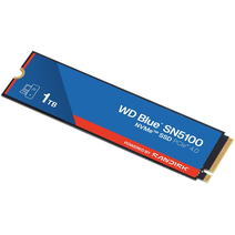 SSD M.2 1Tb WD WDS100T5B0E