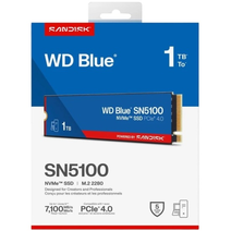 SSD M.2 1Tb WD WDS100T5B0E