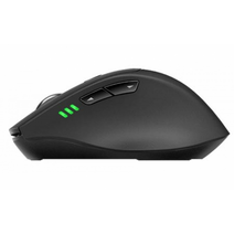 Мышь RAPOO MT550L черный