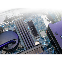 SSD M.2 1Tb CRUCIAL CT1000P310SSD8