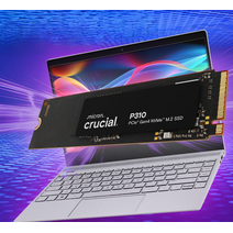 SSD M.2 1Tb CRUCIAL CT1000P310SSD8