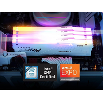 DDR5 32Gb 5600MHz Kingston KF556C36BWEA-32