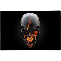 Коврик игровой Jet.A Panteon GP-07SM RAMPANT средняя (500x330x3)