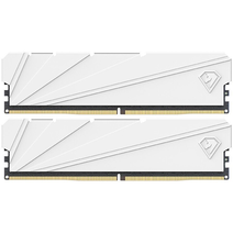 DDR4 2x16Gb 3200MHz NETAC NTSSD4P32DP-32W