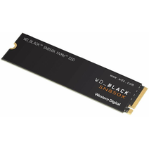 SSD M.2 2Tb WD WDS200T2X0E