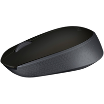 Мышь Logitech M171 Black 910-004643/910-004424/910-004655