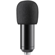 Микрофон DEFENDER Space GMC 450