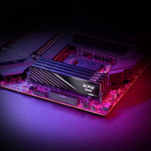 DDR5 2x16Gb 6000MHz ADATA AX5U6000C3616G-DTLABBK