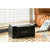 Лазерный принтер Pantum P2516