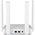 Маршрутизатор WiFi Netcraze Challenger (NC-3910)