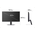 Монитор 24.4'' LG 25G523B-B
