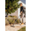 Пылесос Karcher WD 3 V-17/4/20 1.628-130.0