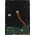 Жесткий диск 3.5'' 14Tb Seagate ST14000NM004J