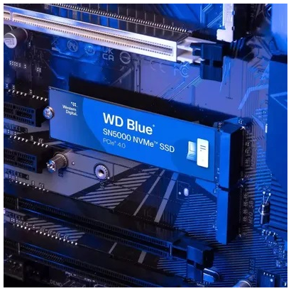 SSD M.2 1Tb WD WDS100T4B0E