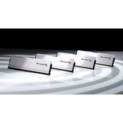 DDR5 2x16Gb 6000MHz G.Skill F5-6000J3636F16GX2-RM5RW