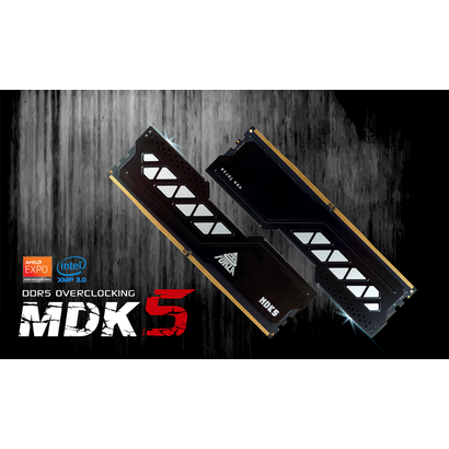 DDR5 2x16Gb 6000MHz Neo Forza NMUD516F82-6000LL2