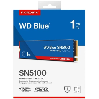 SSD M.2 1Tb WD WDS100T5B0E