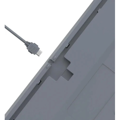 Игровая клавиатура A4Tech Fstyler FS300 Panda Rock