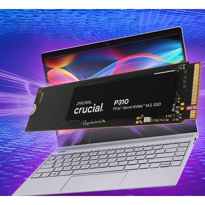 SSD M.2 1Tb CRUCIAL CT1000P310SSD8