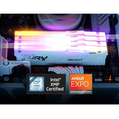 DDR5 32Gb 5600MHz Kingston KF556C36BWEA-32
