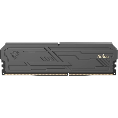 DDR4 8Gb 3200MHz Netac NTSHD4P32SP-08K