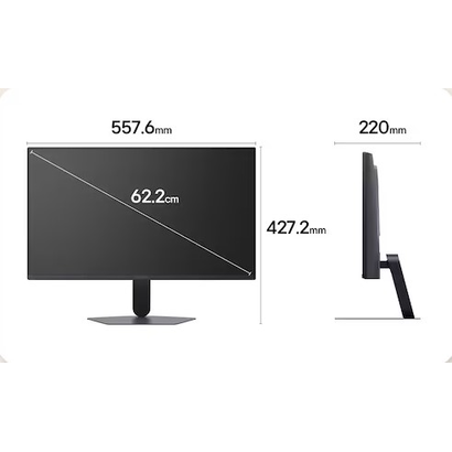 Монитор 24.4'' LG 25G523B-B
