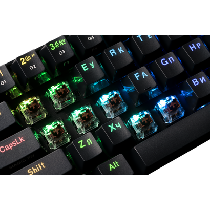 Игровая клавиатура Redragon Draconic черная