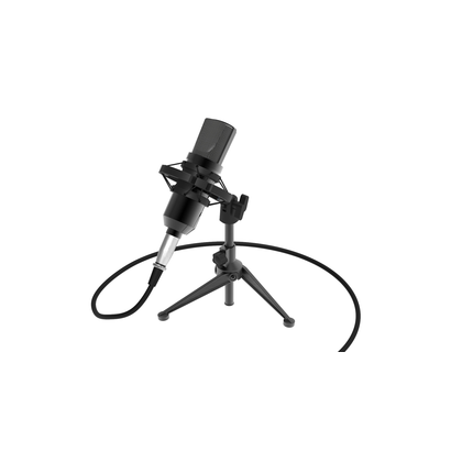 Микрофон RITMIX RDM-160