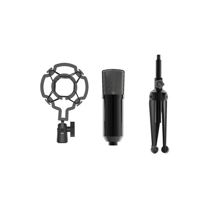 Микрофон RITMIX RDM-160