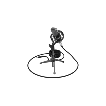 Микрофон RITMIX RDM-160
