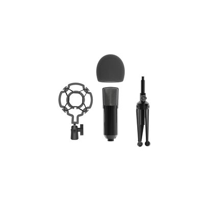 Микрофон RITMIX RDM-160