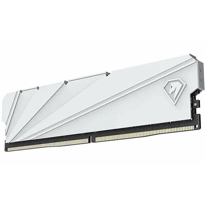 DDR4 2x8Gb 3200MHz NETAC NTSSD4P32DP-16W