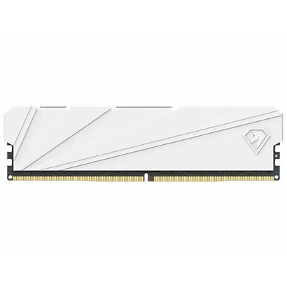 DDR4 2x8Gb 3200MHz NETAC NTSSD4P32DP-16W