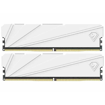 DDR4 2x8Gb 3200MHz NETAC NTSSD4P32DP-16W