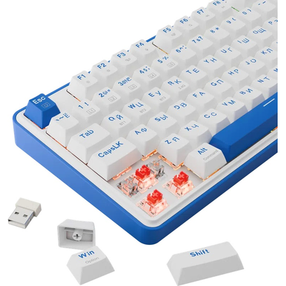 Игровая клавиатура Redragon Faye Pro белая/синяя