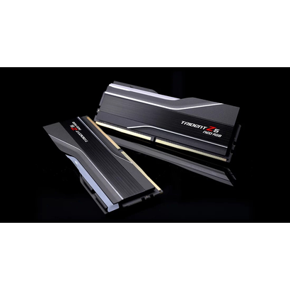 DDR5 2x16Gb 6000MHz G.Skill F5-6000J3636F16GX2-TZ5NR