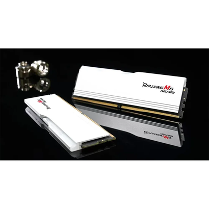 DDR5 2x32Gb 6000MHz G.Skill F5-6000J3040G32GX2-RM5RW