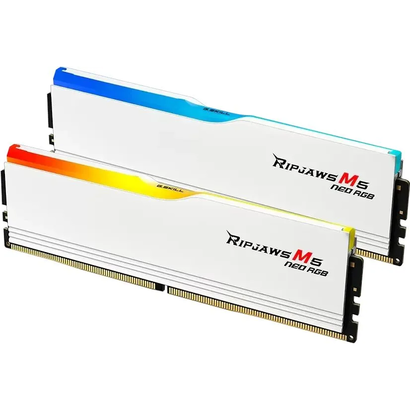 DDR5 2x32Gb 6000MHz G.Skill F5-6000J3040G32GX2-RM5RW